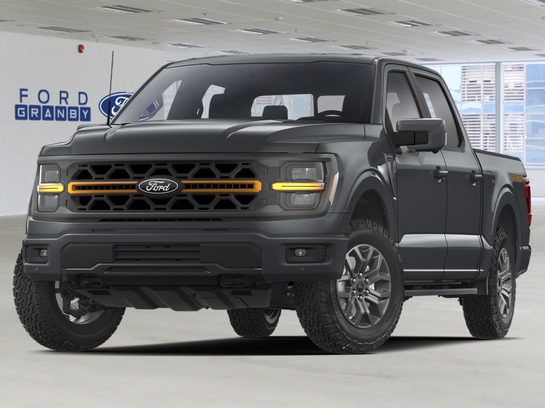 2025 Ford F-150 Carbonized Grey Metallic