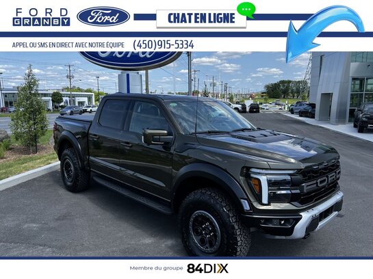 FORD F-150 2025 2025 Vert